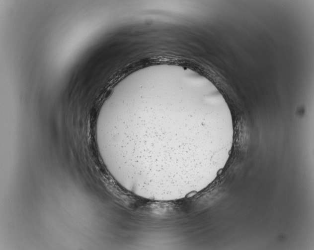 X0000111920762200908171324