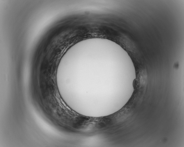 X0000111920764200908171324