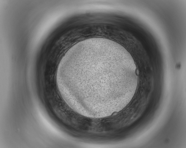 X0000111920766200908171324