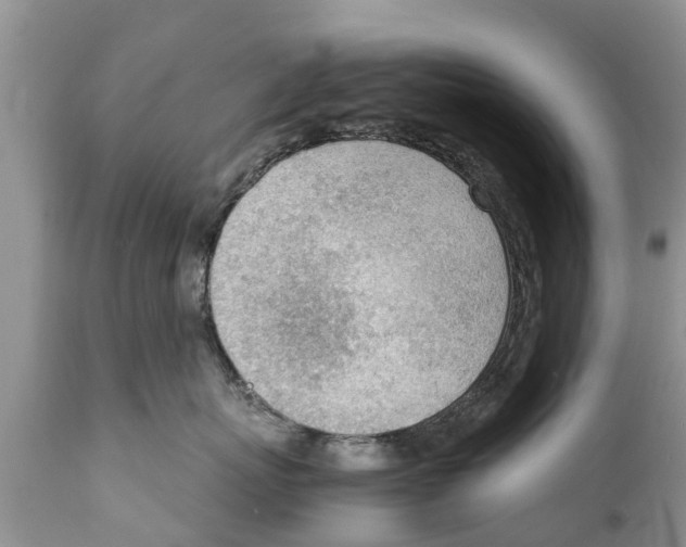 X0000111920767200908171324