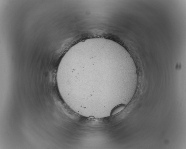 X0000111920768200908171324