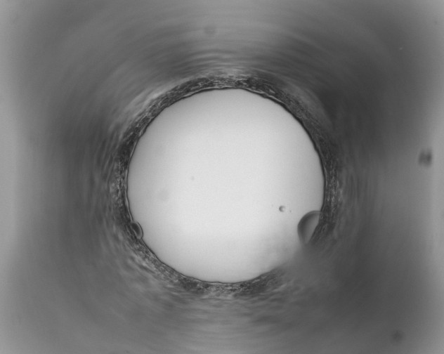 X0000111920773200908171323