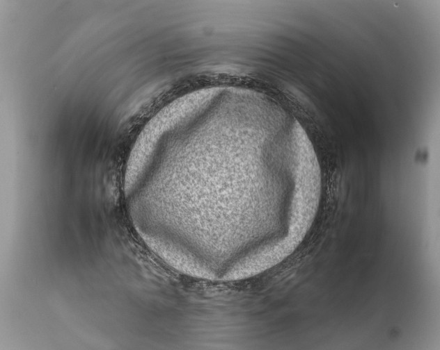 X0000111920774200908171323