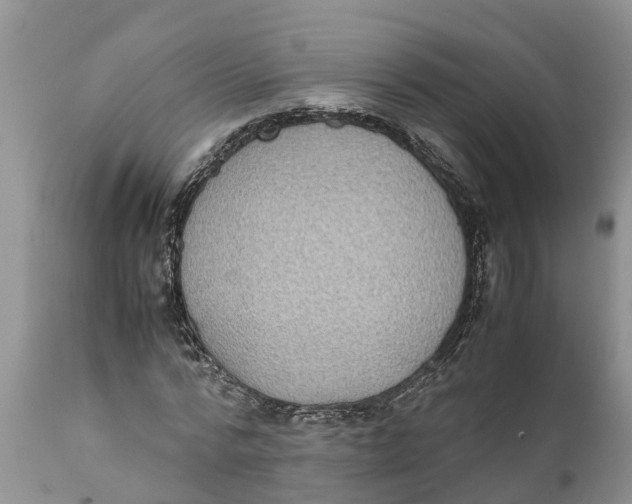 X0000111920776200908171323