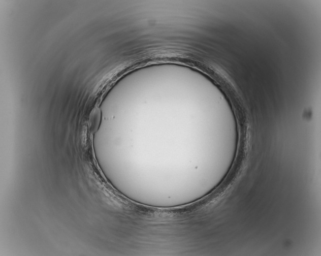 X0000111920777200908171323