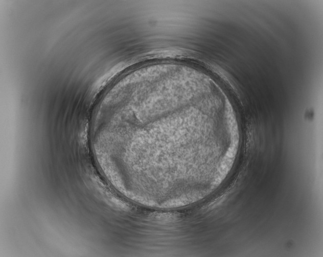 X0000111920778200908171323