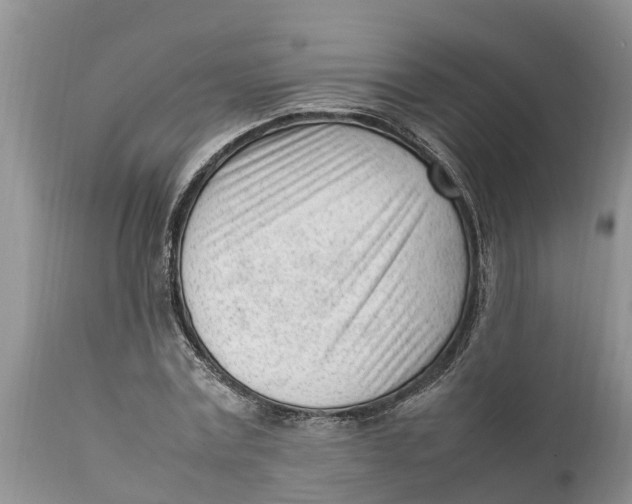 X0000111920779200908171323