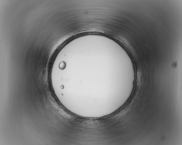 X0000111920780200908171323