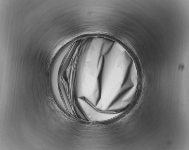 X0000111920781200908171323