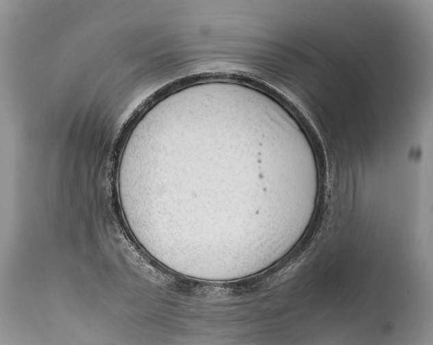 X0000111920783200908171323