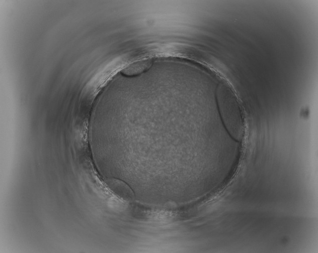 X0000111920785200908171323