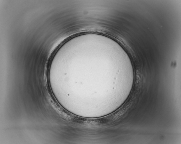 X0000111920788200908171323