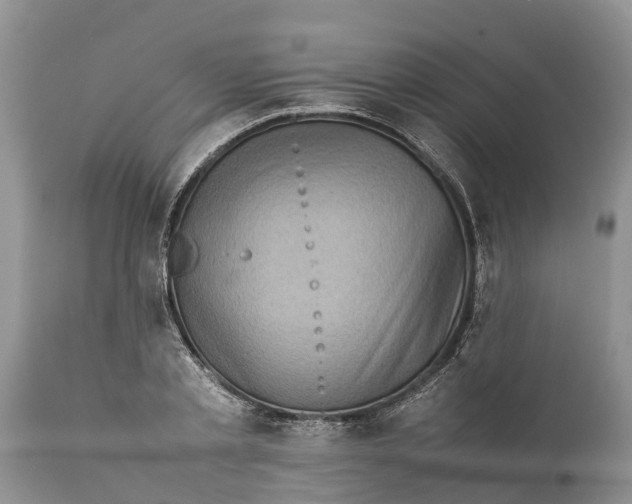 X0000111920789200908171323