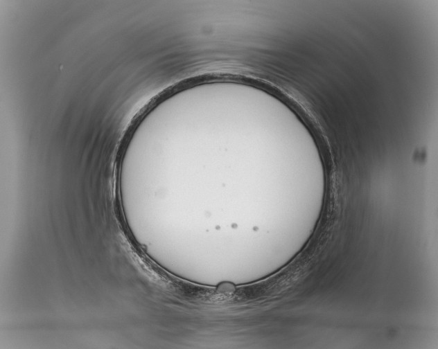 X0000111920791200908171323