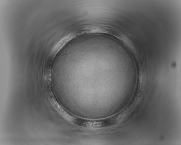 X0000111920793200908171323