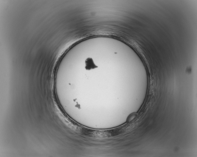 X0000111920795200908171323