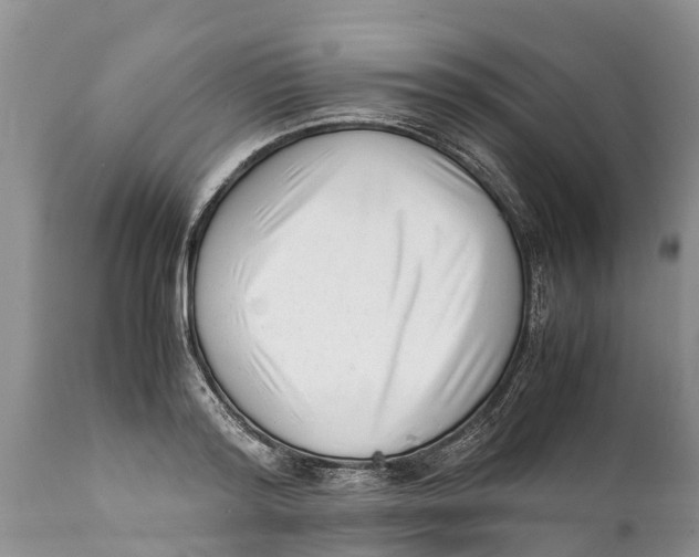 X0000111920796200908171323