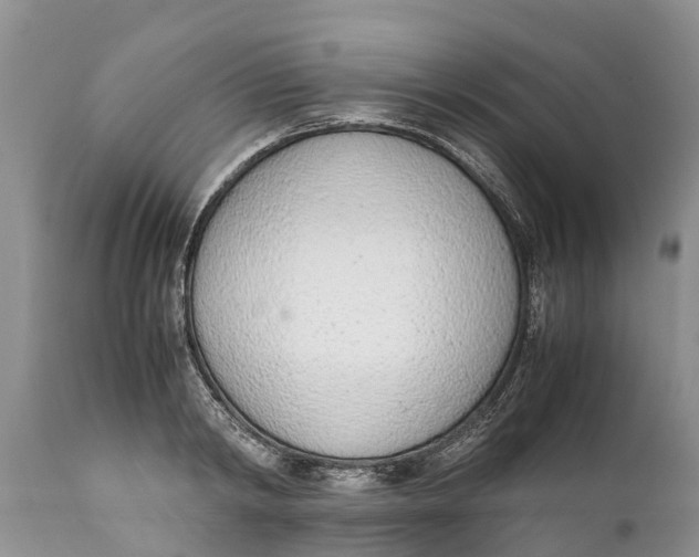 X0000111920798200908171323