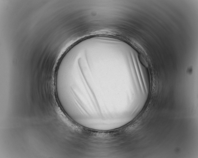 X0000111920800200908171323