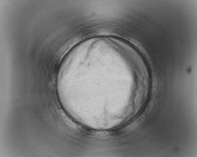 X0000111920801200908171323