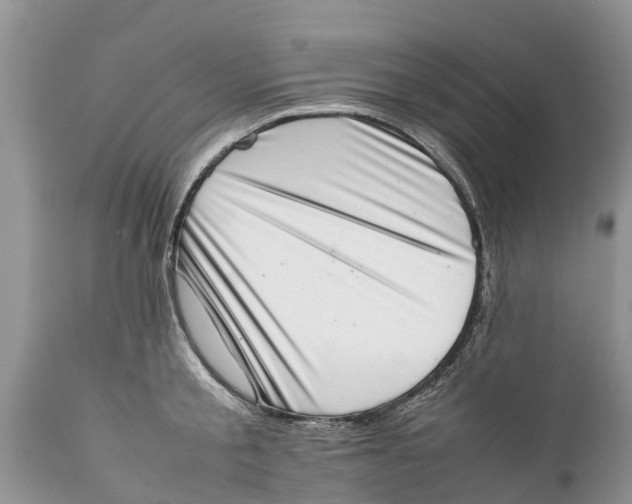 X0000111920805200908171323