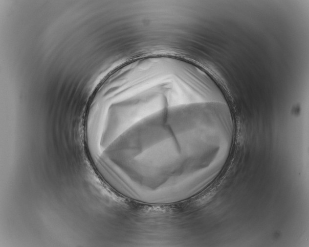 X0000111920806200908171323