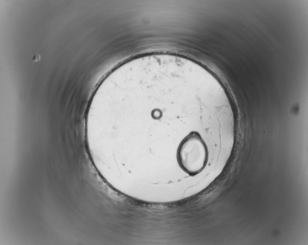 X0000111920807200908171323