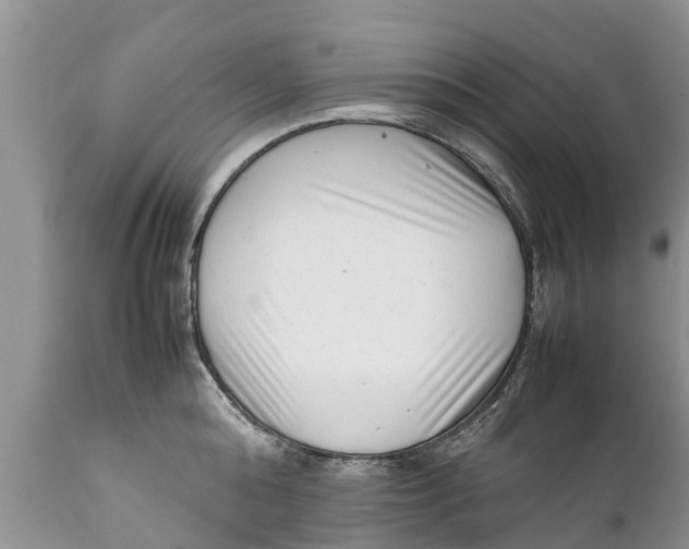 X0000111920808200908171323