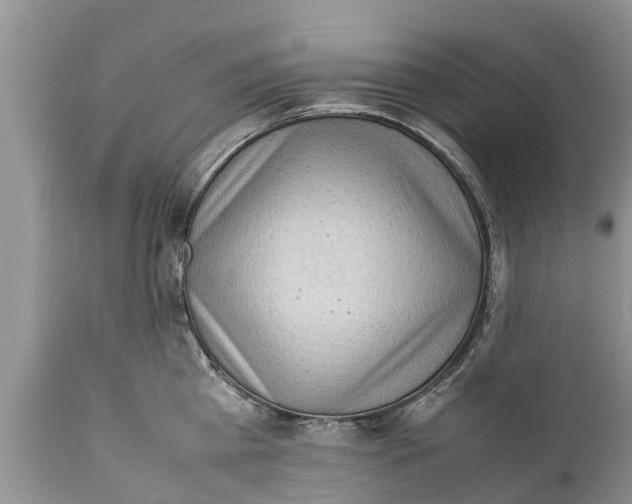 X0000111920809200908171323