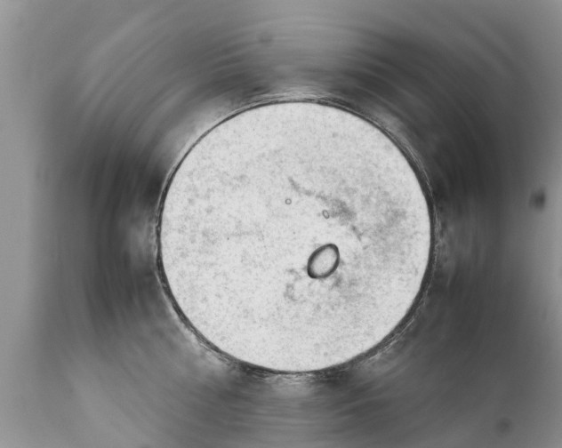 X0000111920810200908171323