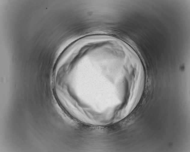 X0000111920811200908171323