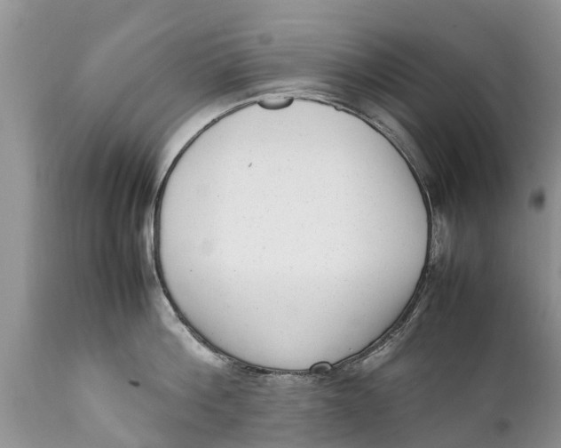 X0000111920812200908171323