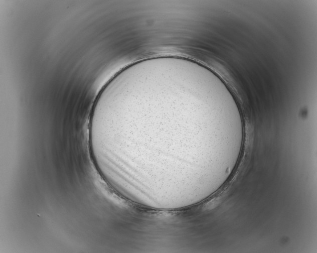 X0000111920814200908171323