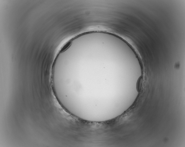 X0000111920815200908171323