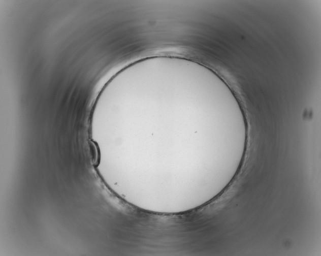 X0000111920816200908171323