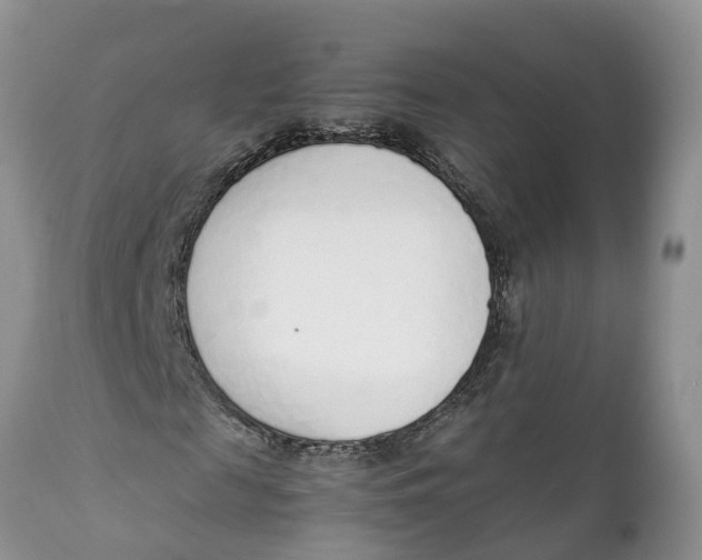 X0000111920817200908171322