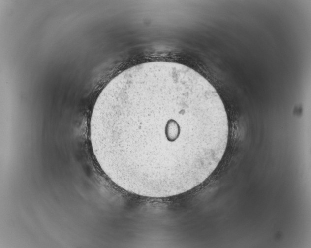 X0000111920820200908171322