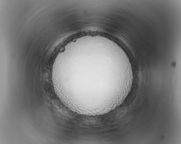 X0000111920823200908171322