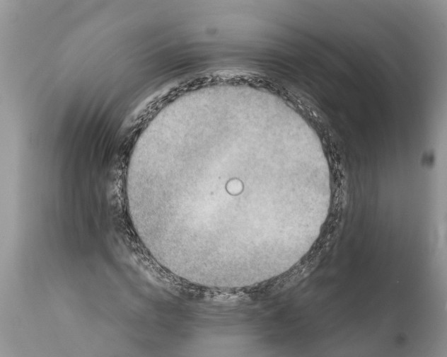 X0000111920824200908171322