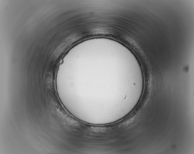 X0000111920825200908171322