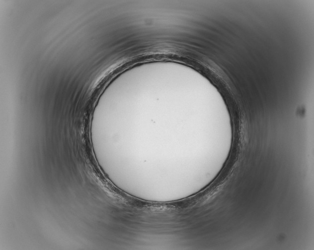 X0000111920826200908171322