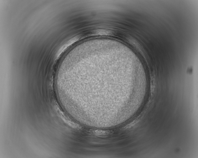 X0000111920827200908171322