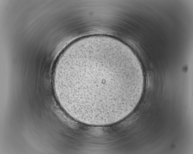 X0000111920828200908171322