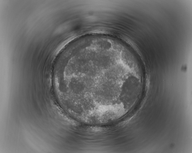 X0000111920829200908171322