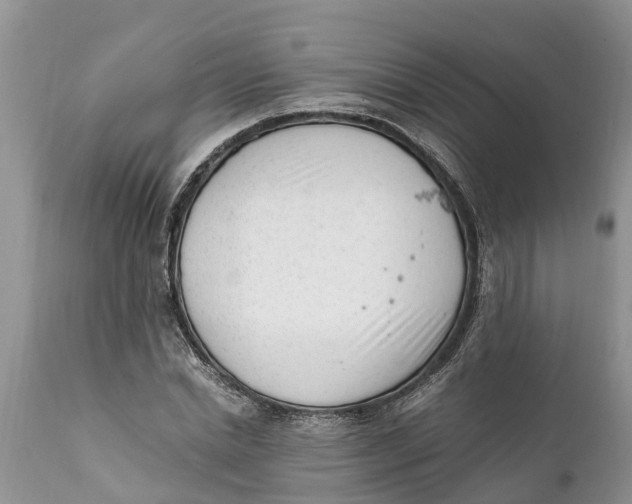 X0000111920830200908171322