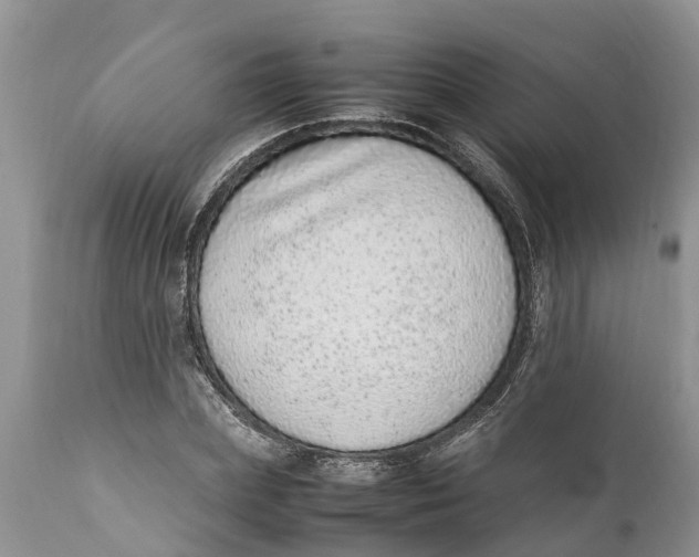 X0000111920831200908171322