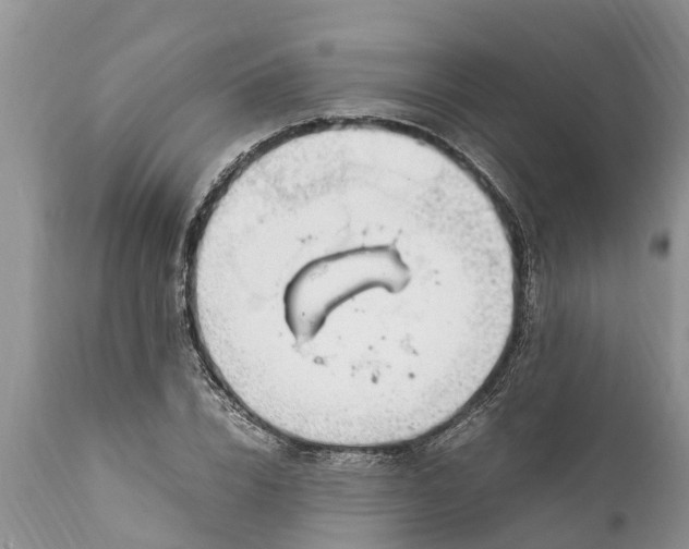 X0000111920832200908171322