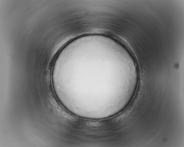 X0000111920835200908171322