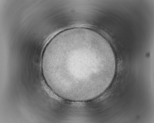 X0000111920836200908171322