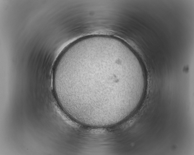 X0000111920838200908171322